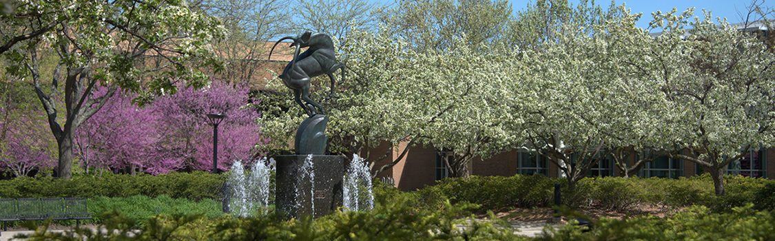 Campus Fountain